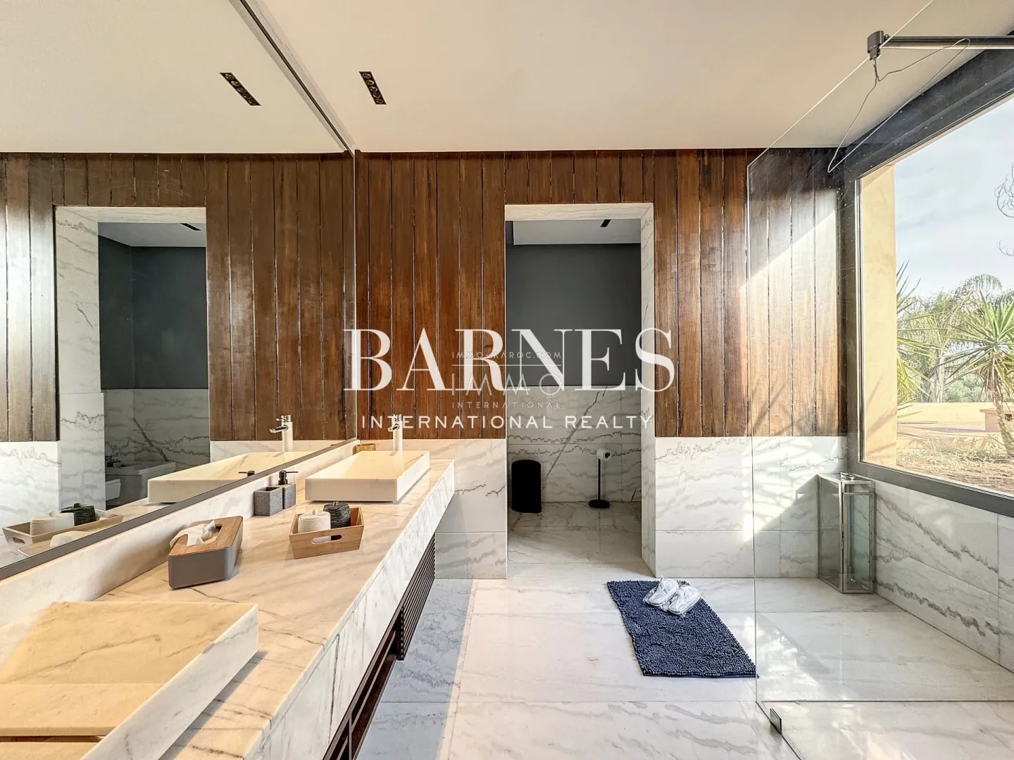 Luxury contemporary house