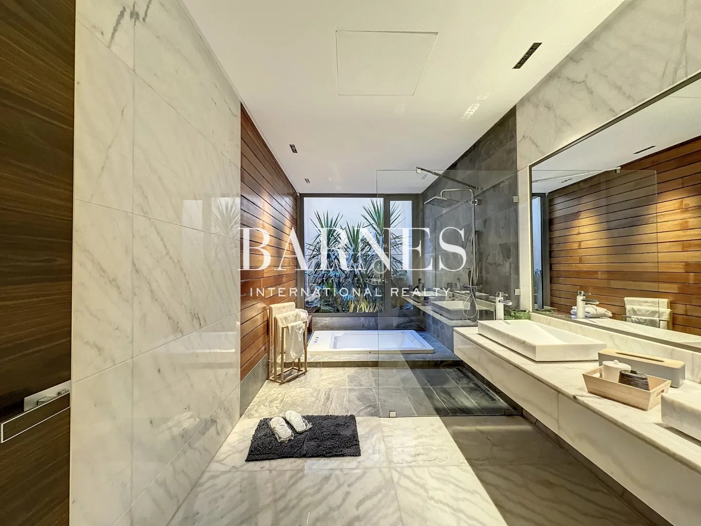 Luxury contemporary house