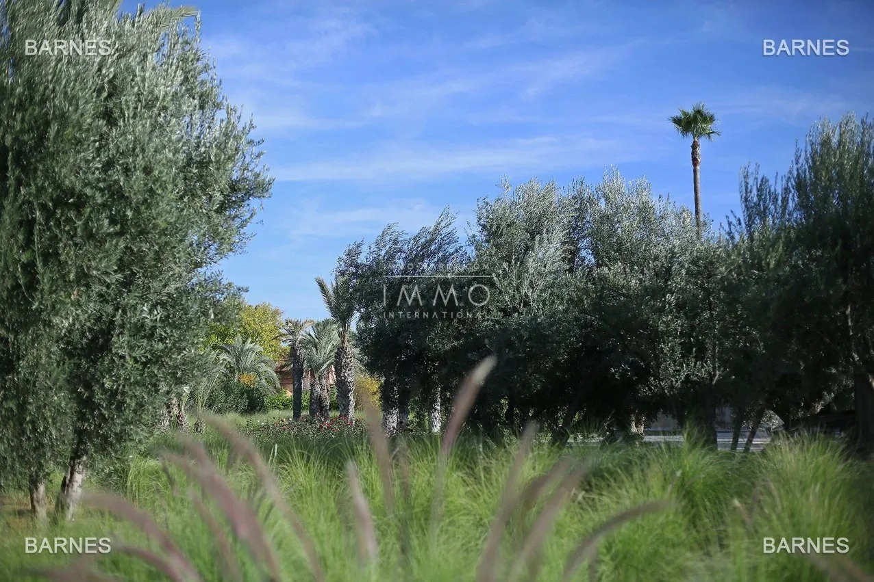 Villa 10 minutes from downtown on a plot of 15 000 m² including 1500 m² of built area ... on the ground floor , entrance hall with arabo -andalusian fountain, guest cloakroom , living room, movie...