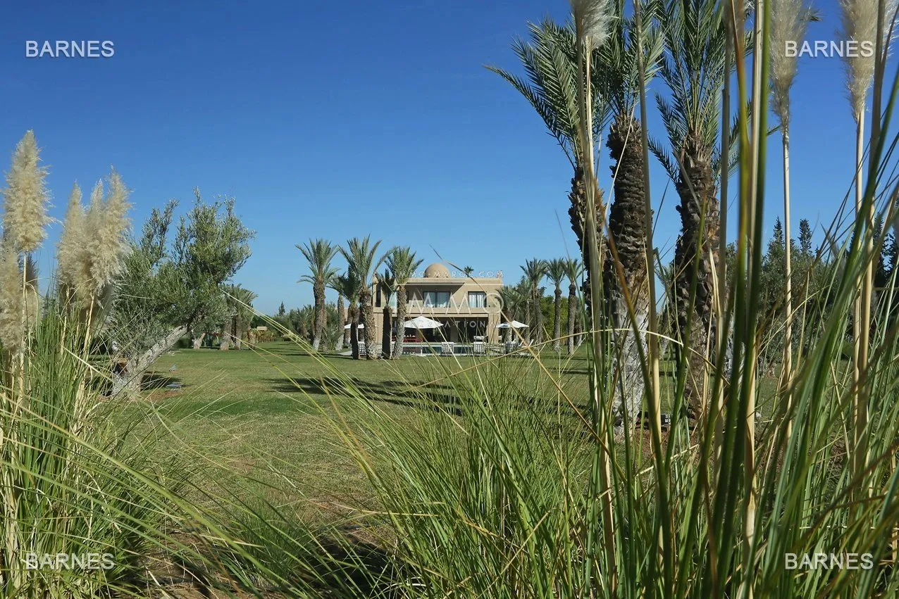 Villa 10 minutes from downtown on a plot of 15 000 m² including 1500 m² of built area ... on the ground floor , entrance hall with arabo -andalusian fountain, guest cloakroom , living room, movie...