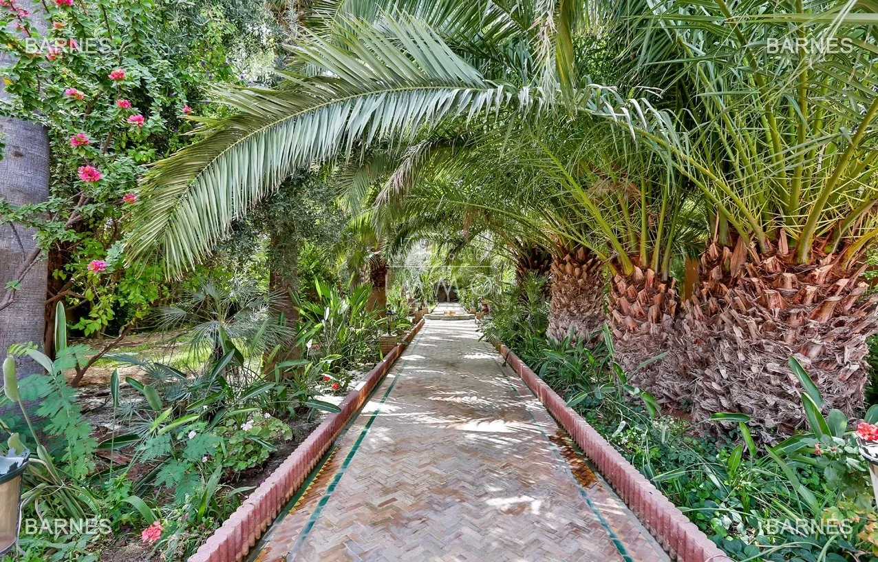 Beautiful property has the palm grove circuit , real opportunity in terms of value. 6 bedrooms a hectare of land in the beautiful palm grove , nice pool . noble materials marble , cedar woodwork ...