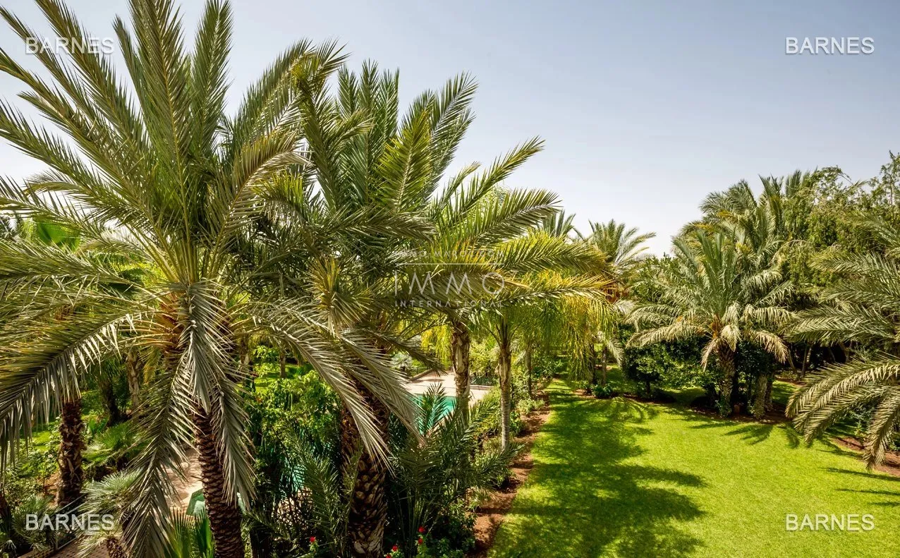 Beautiful property has the palm grove circuit , real opportunity in terms of value. 6 bedrooms a hectare of land in the beautiful palm grove , nice pool . noble materials marble , cedar woodwork ...