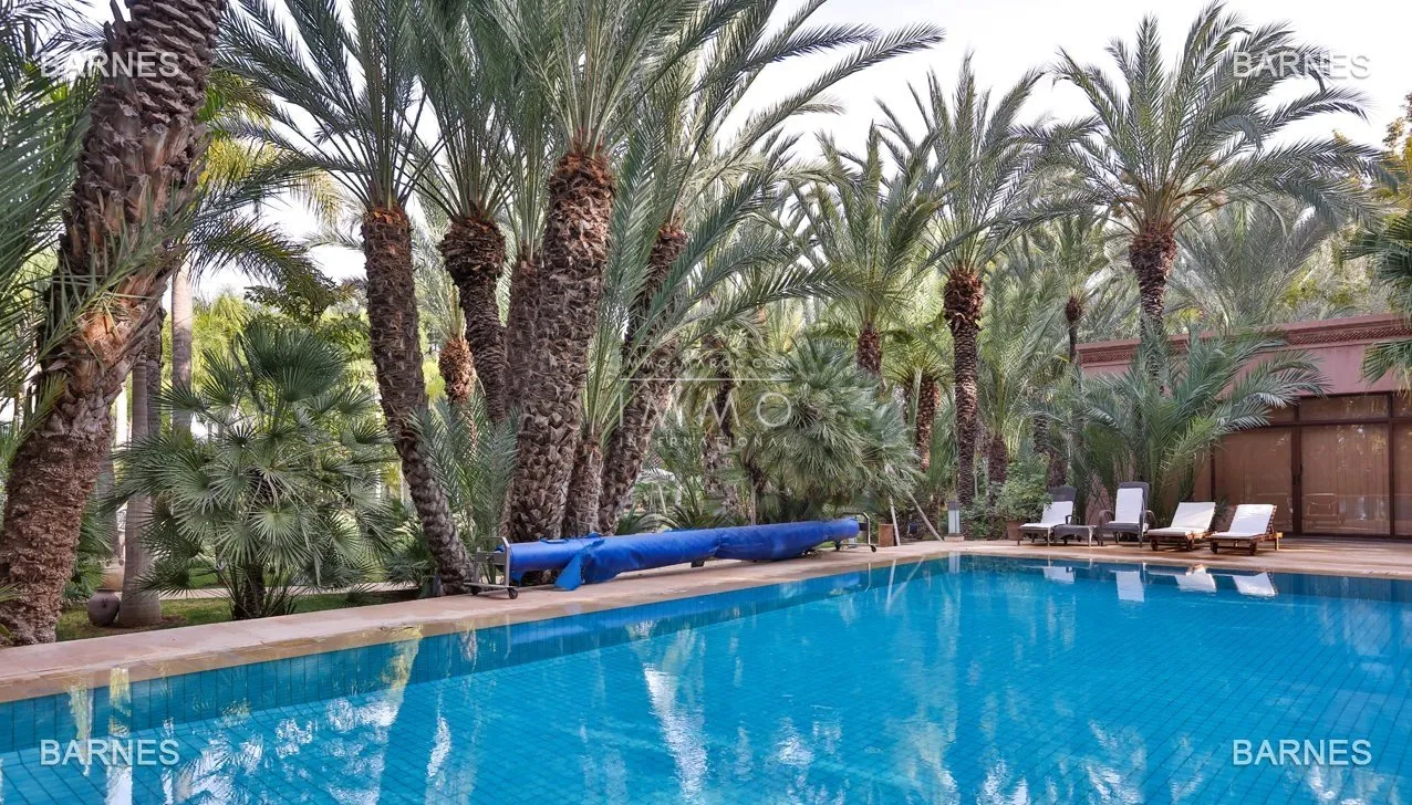 Arab- berber superb palace , located on a one hectare oasis .palm grove circuit