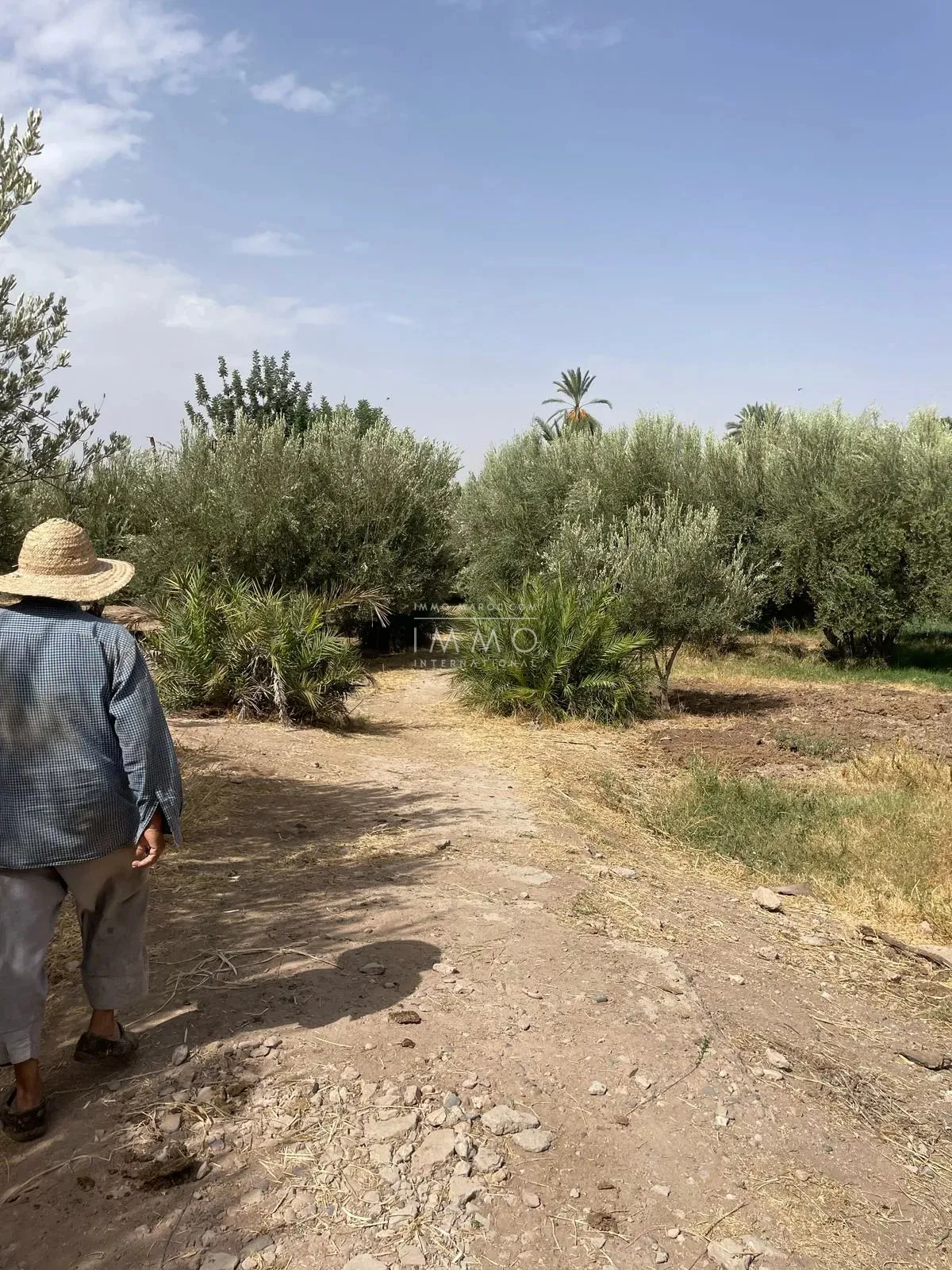 Land for sale - palmeraie circuit, marrakech