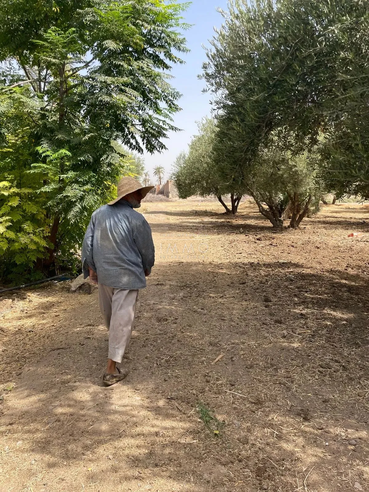 Land for sale - palmeraie circuit, marrakech