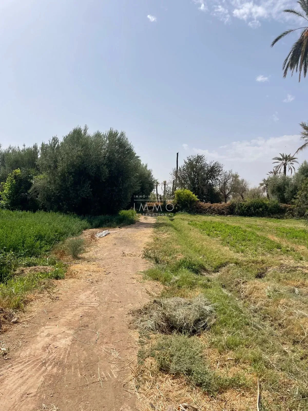 Land for sale - palmeraie circuit, marrakech