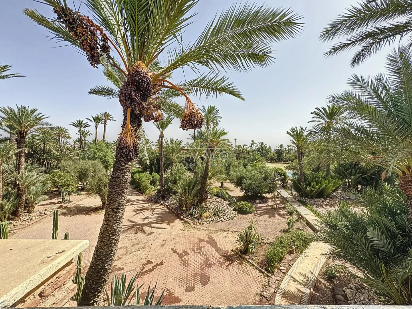 Exceptional property for sale in the palmeraie