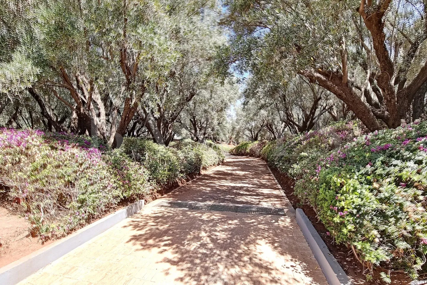 Magnificent contemporary villa on a 4-hectare landscaped park.