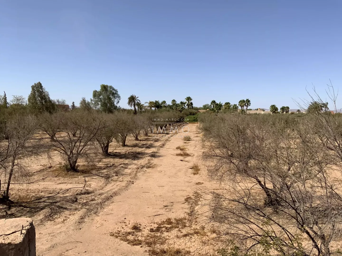 Land 1 hectare route de fès