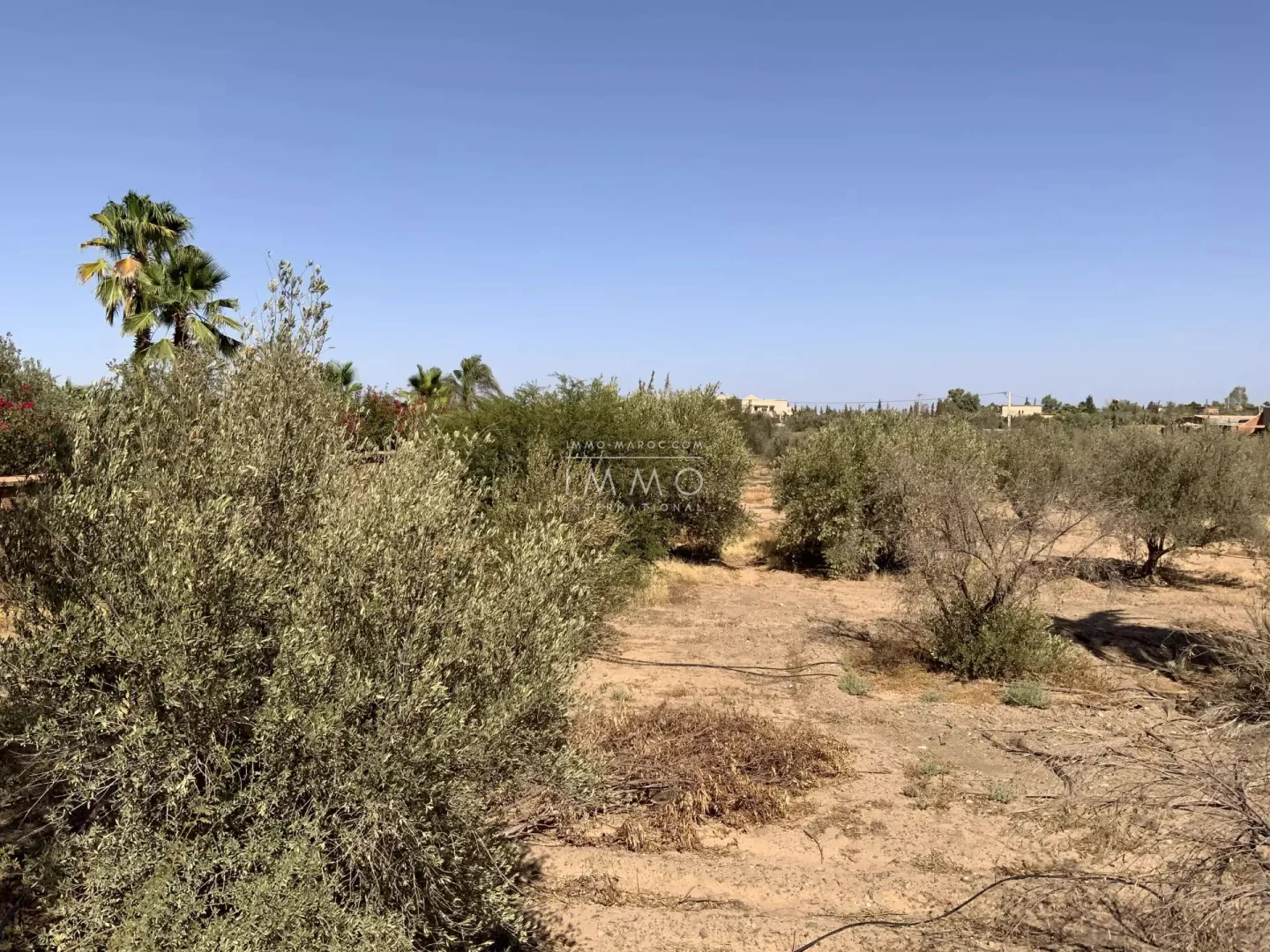 Land 1 hectare route de fès