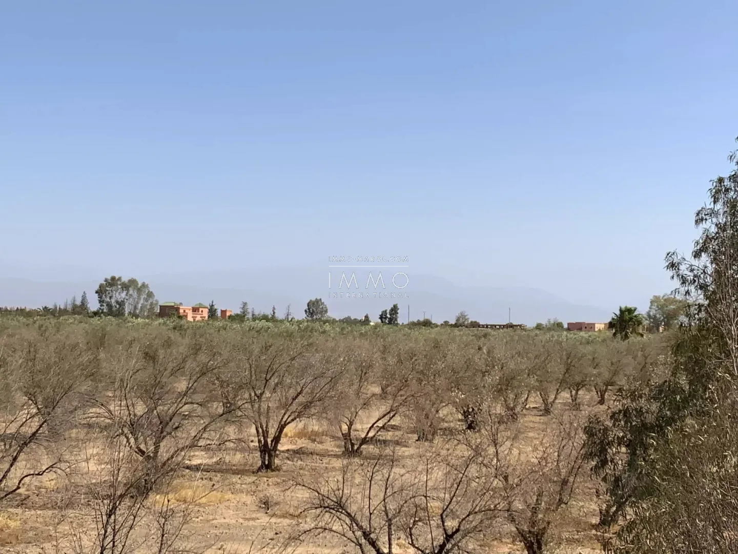 Land 1 hectare route de fès