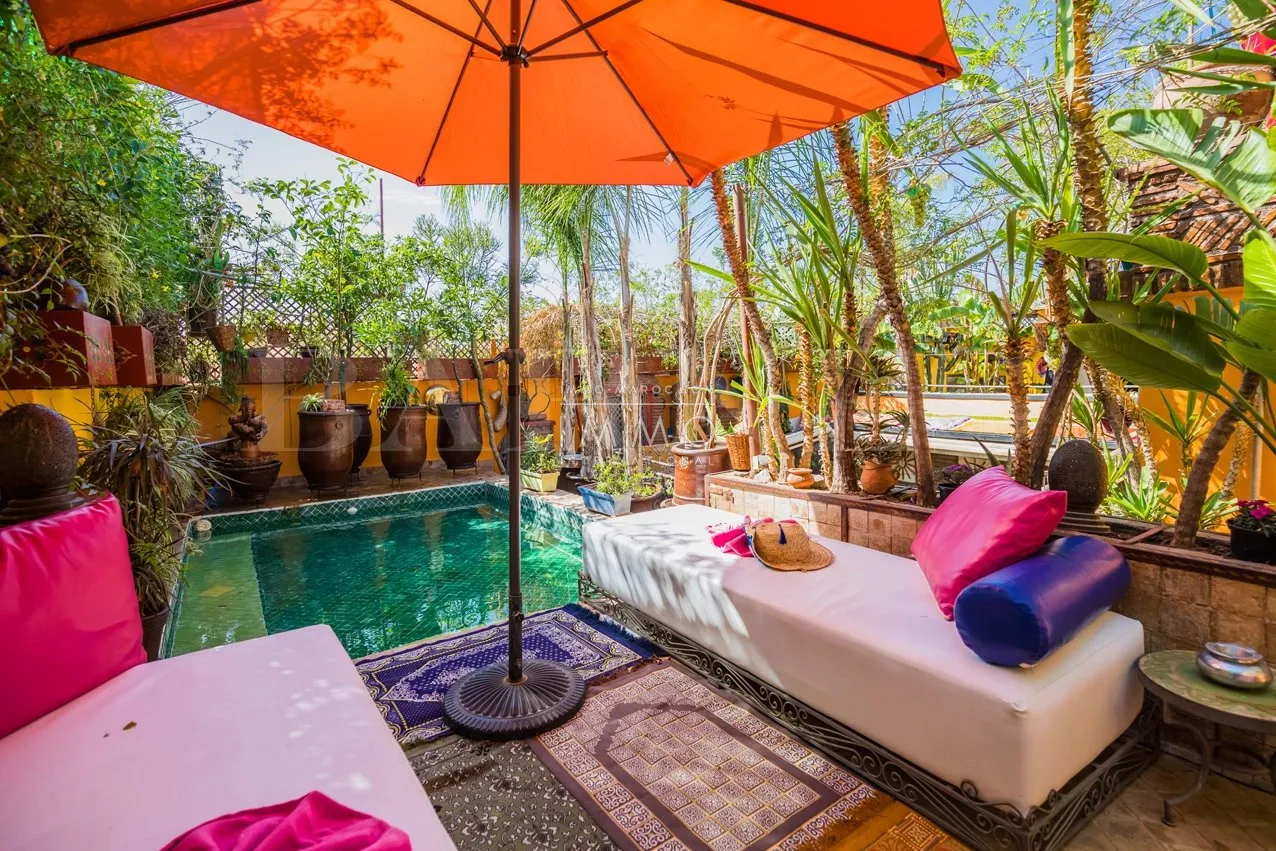 Riad guesthouse for sale in marrakech".