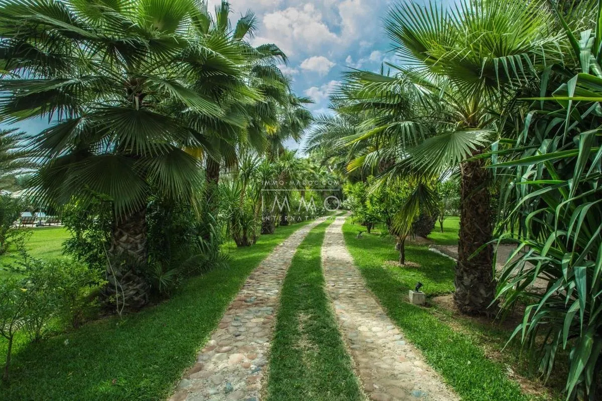 Charming guest house for sale in the heart of the palmeraie bab atlas grove