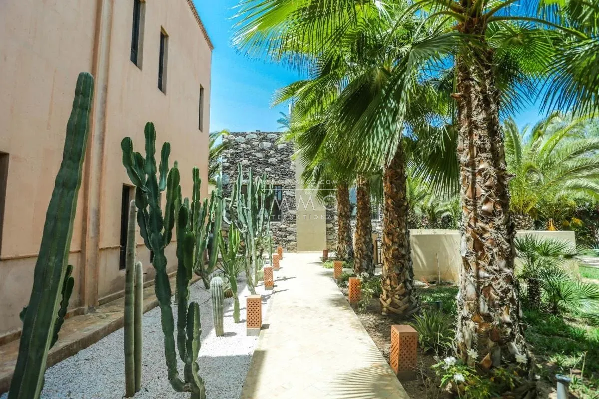 Charming guest house for sale in the heart of the palmeraie bab atlas grove