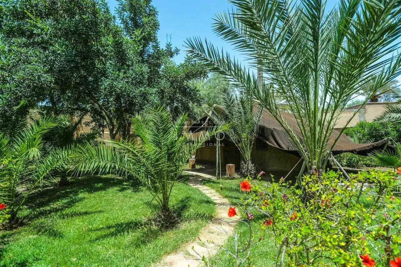Charming guest house for sale in the heart of the palmeraie bab atlas grove