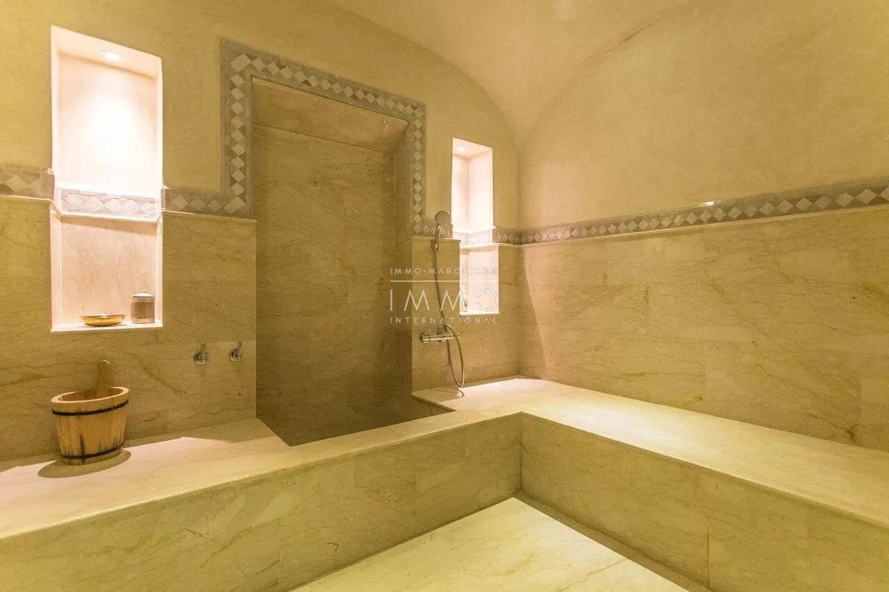 Charming guest house for sale in the heart of the palmeraie bab atlas grove