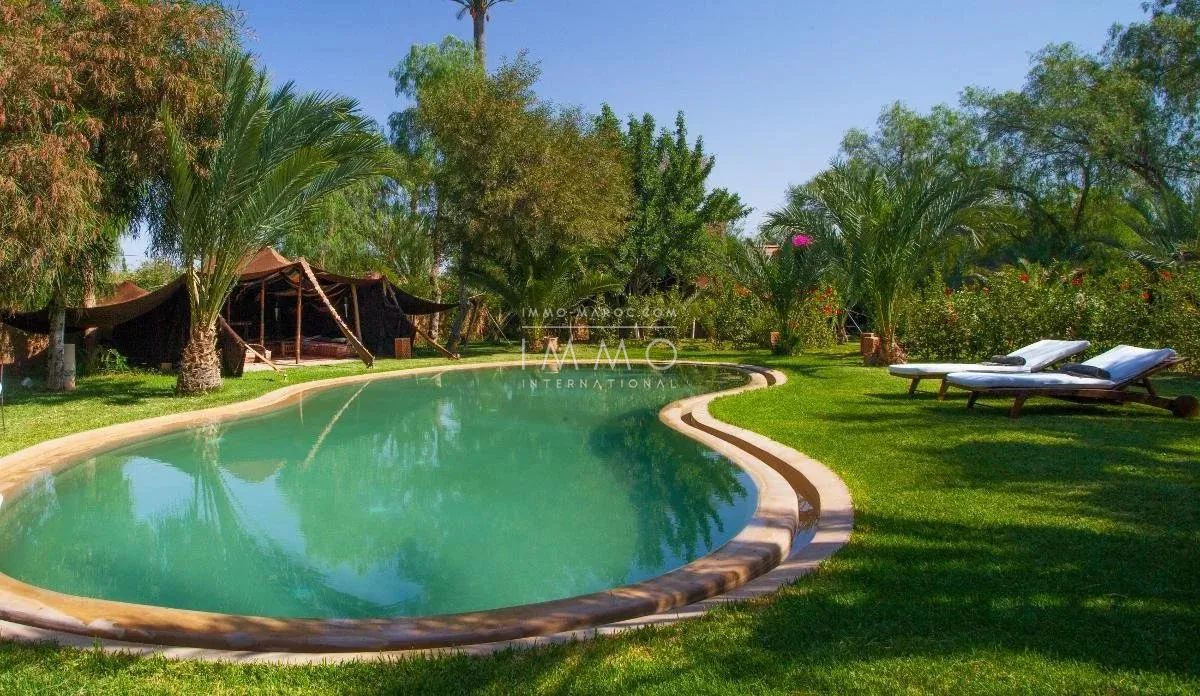 Charming guest house for sale in the heart of the palmeraie bab atlas grove