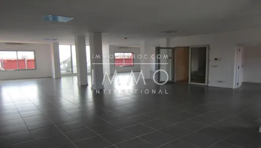 sale-trade-marrakech