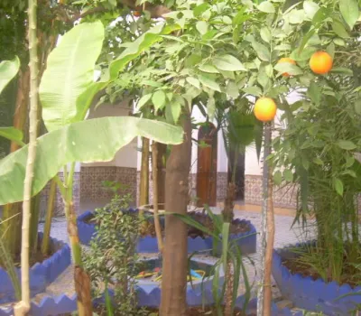 Riad for sale Marrakech Medina Bab doukkala Other Sectors