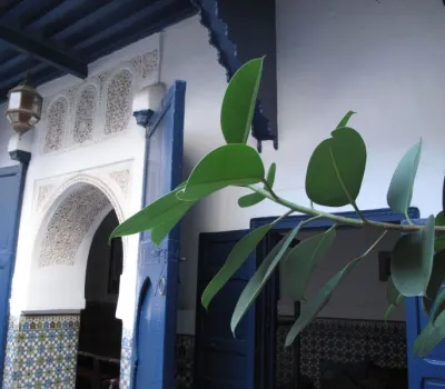 Sale riad guesthouse Marrakech less than 10 minutes from Place Sidi Mimoune
