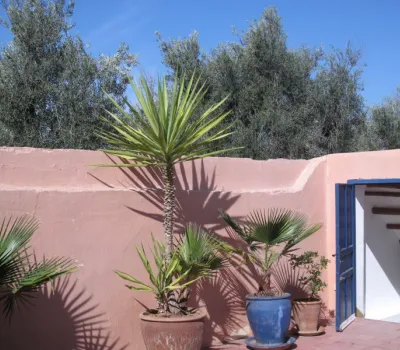 purchase riad guesthouse Marrakech less than 10 minutes from Place Sidi Mimoune