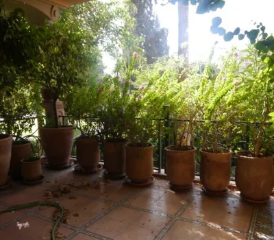 Contemporary Marrakech Hivernage apartment