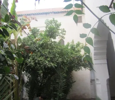 Riad for sale Marrakech Medina Bab doukkala Other Sectors