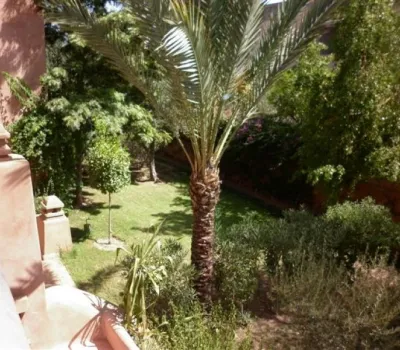 Rental Apartment-Marrakech