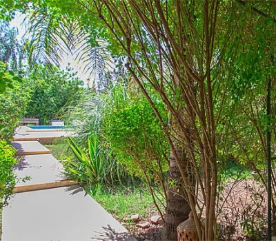 Location villa Modern Marrakech Exterior Road Ourika