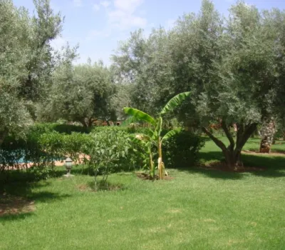 House for rent Moroccan purified Marrakech Exterior Road Ourika