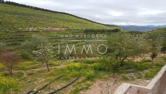 Sale site Ground villa Marrakech Exterior Route Ourika