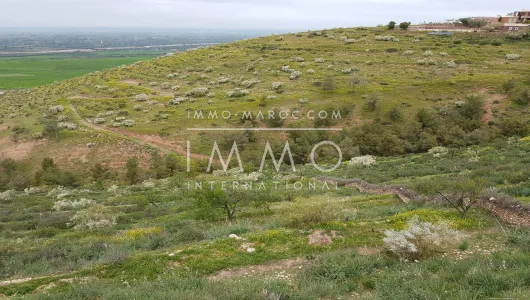 purchase plot Land villa Marrakech Exterior Route Ourika