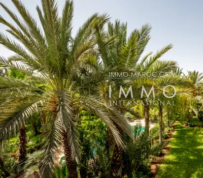 Luxury property for sale Marrakech Palmeraie