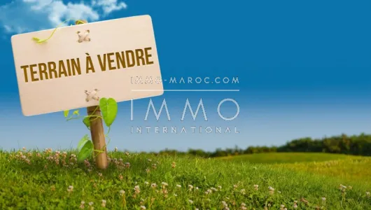 Land for sale Land villa Marrakech Palmeraie Circuit Palmeraie