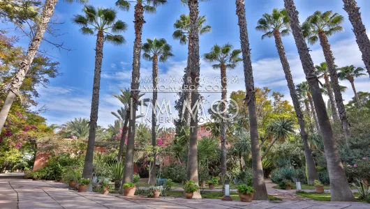 marrakech luxury villa for sale palm grove