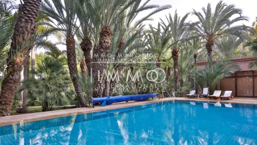 marrakech luxury villa for sale palm grove