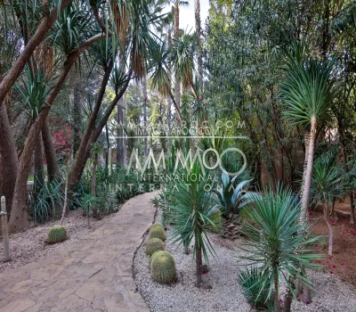 marrakech luxury villa for sale palm grove