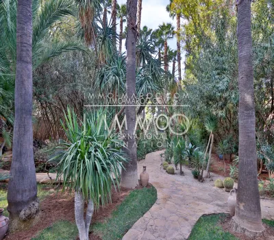 marrakech luxury villa for sale palm grove