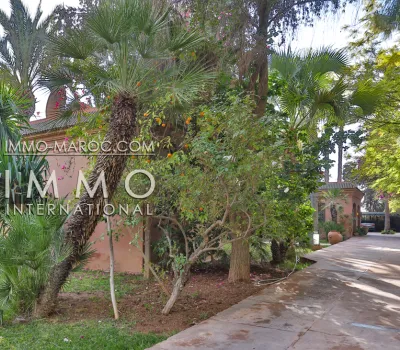 marrakech luxury villa for sale palm grove