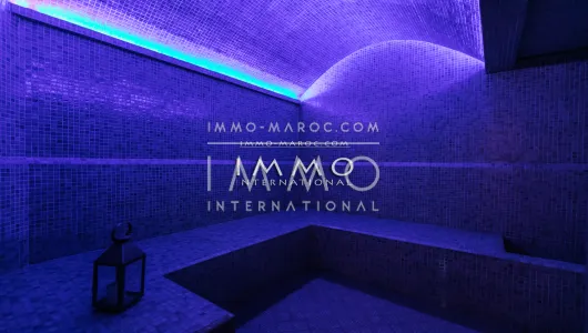 ryad prestige a vendre Marrakech Place Jamaa El Fna