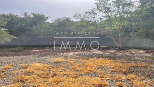 TERRAIN A VENDRE TARGA 