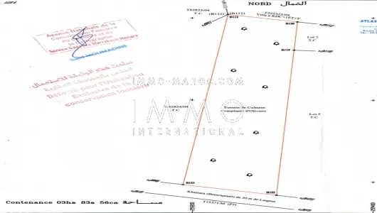 Terrain à vendre Terrain villa Marrakech Extérieur Route Ourika