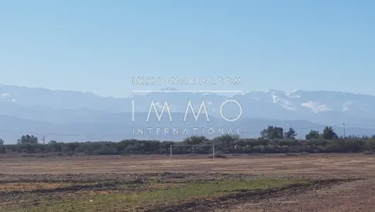 Terrain à vendre Terrain villa Marrakech Extérieur Route Ourika