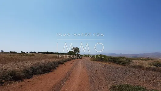 achat terrain Maison d'hôtes Marrakech Extérieur Route Amizmiz