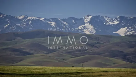 achat terrain Terrain villa Marrakech Extérieur Route Amizmiz