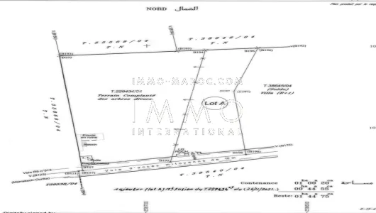 achat terrain Terrain a lotir Marrakech Extérieur Route Ourika