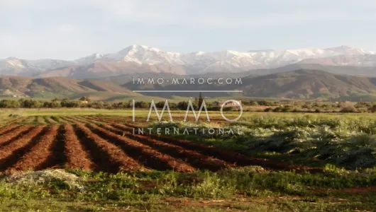 achat terrain Terrain villa Marrakech Extérieur Route Ourika