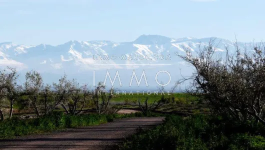 Terrain à vendre Terrain villa Marrakech Extérieur Route Ourika