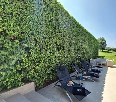 Vente maison Marrakech Route Ourika