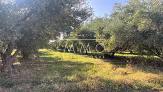 Terrain à vendre Marrakech